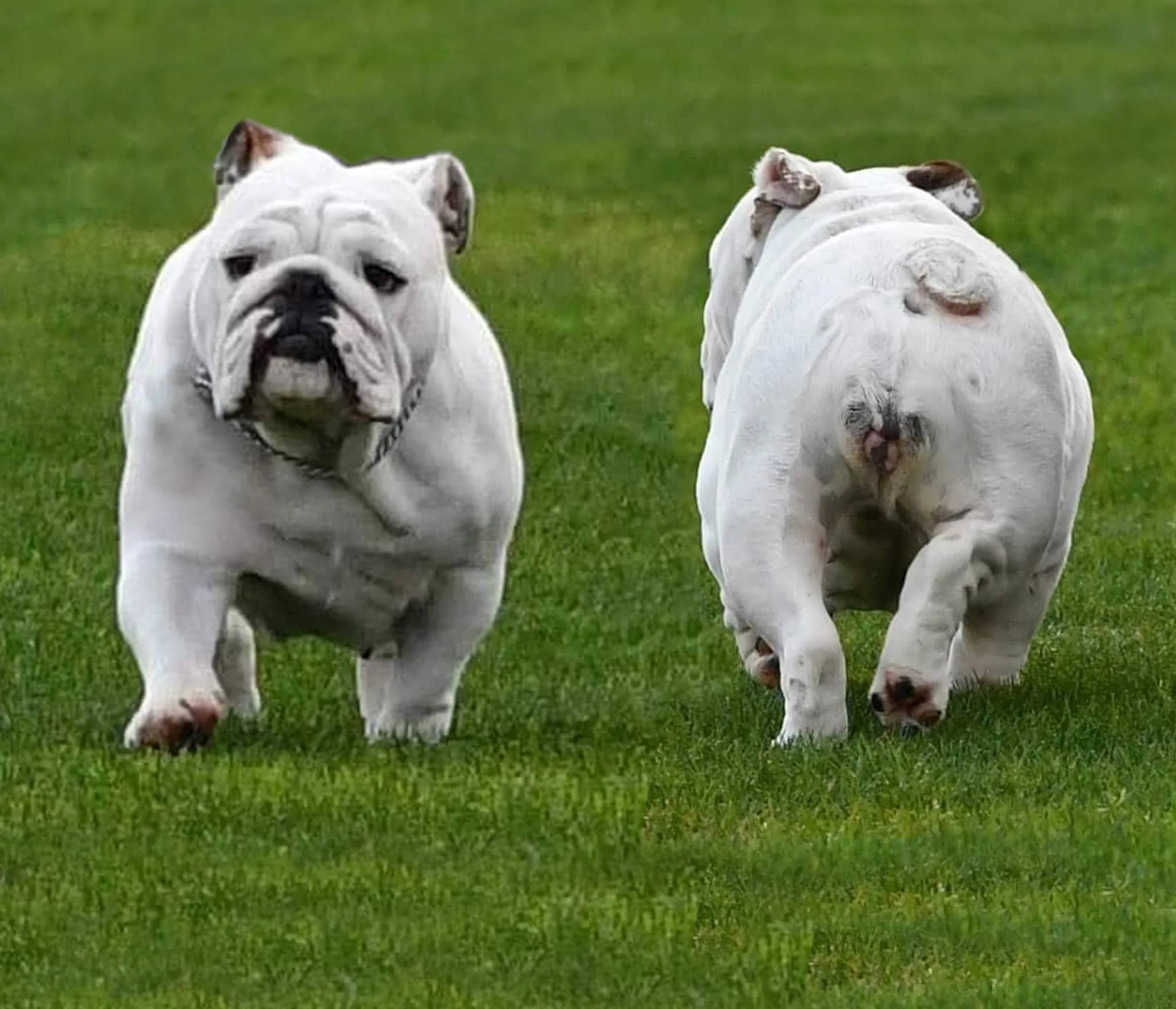 251966695_4518253608255352_189318338167799590_n