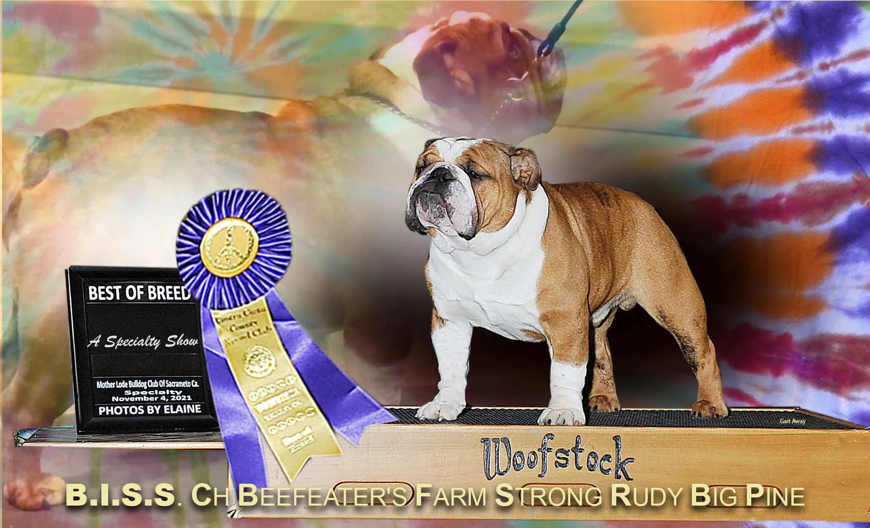 256282375_4550251808388865_1854601676898588516_n