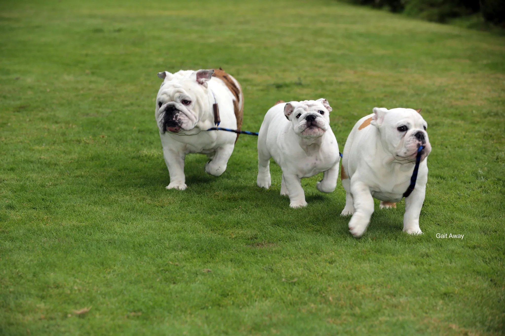 306635562_5460106004070103_7016673274196406001_n