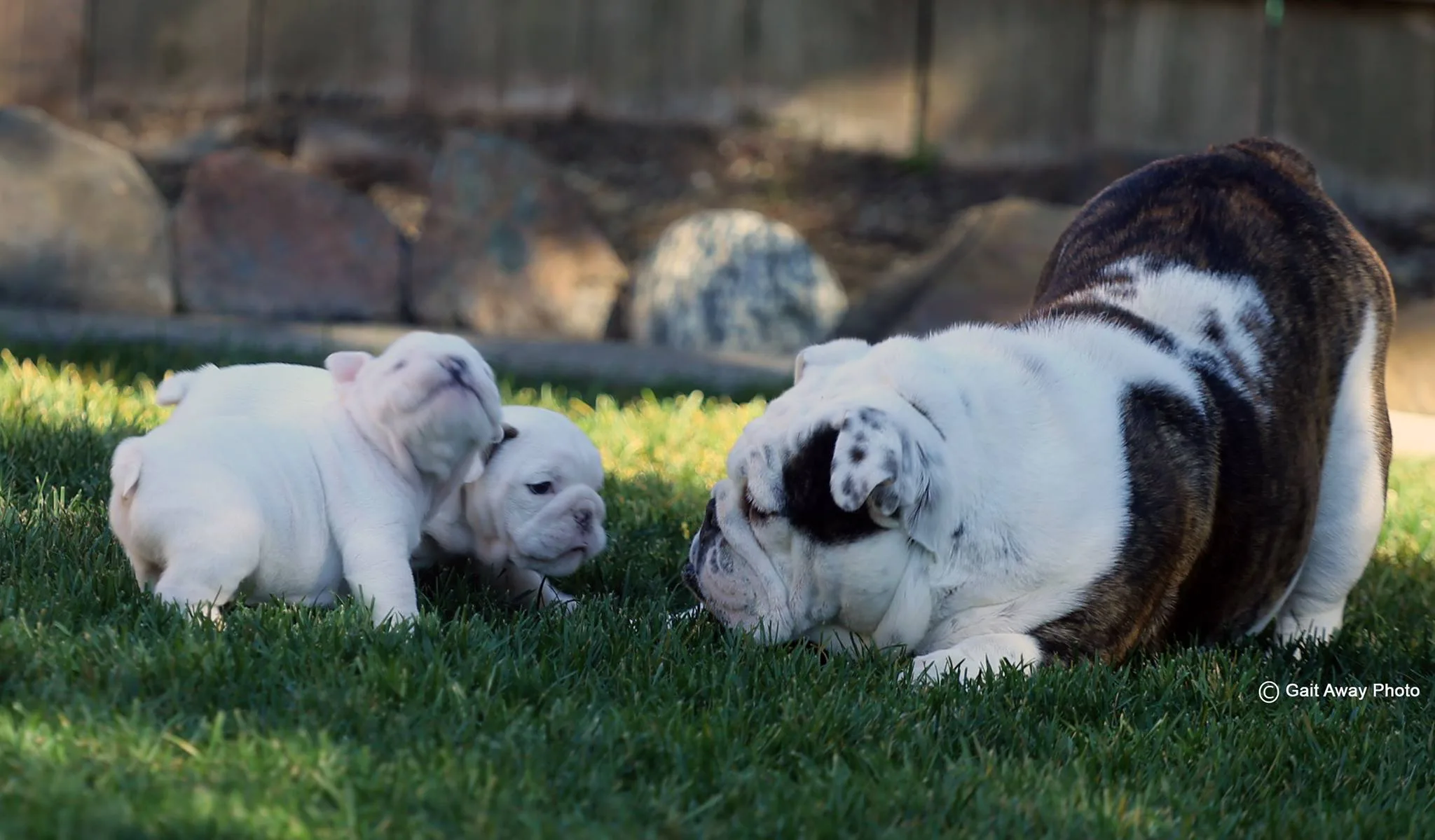 328544558_708213307500884_1632196263528365265_n