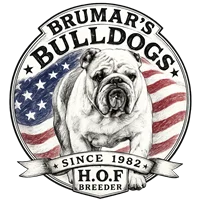 Gait Away Bulldography & Graphics Logo